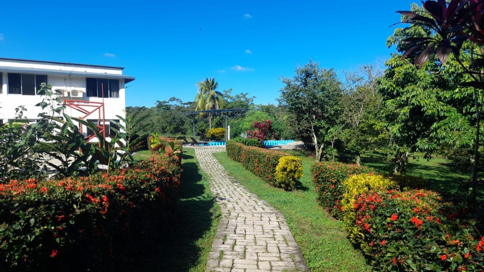 Hotel Los Leones Palenque Bagian luar foto